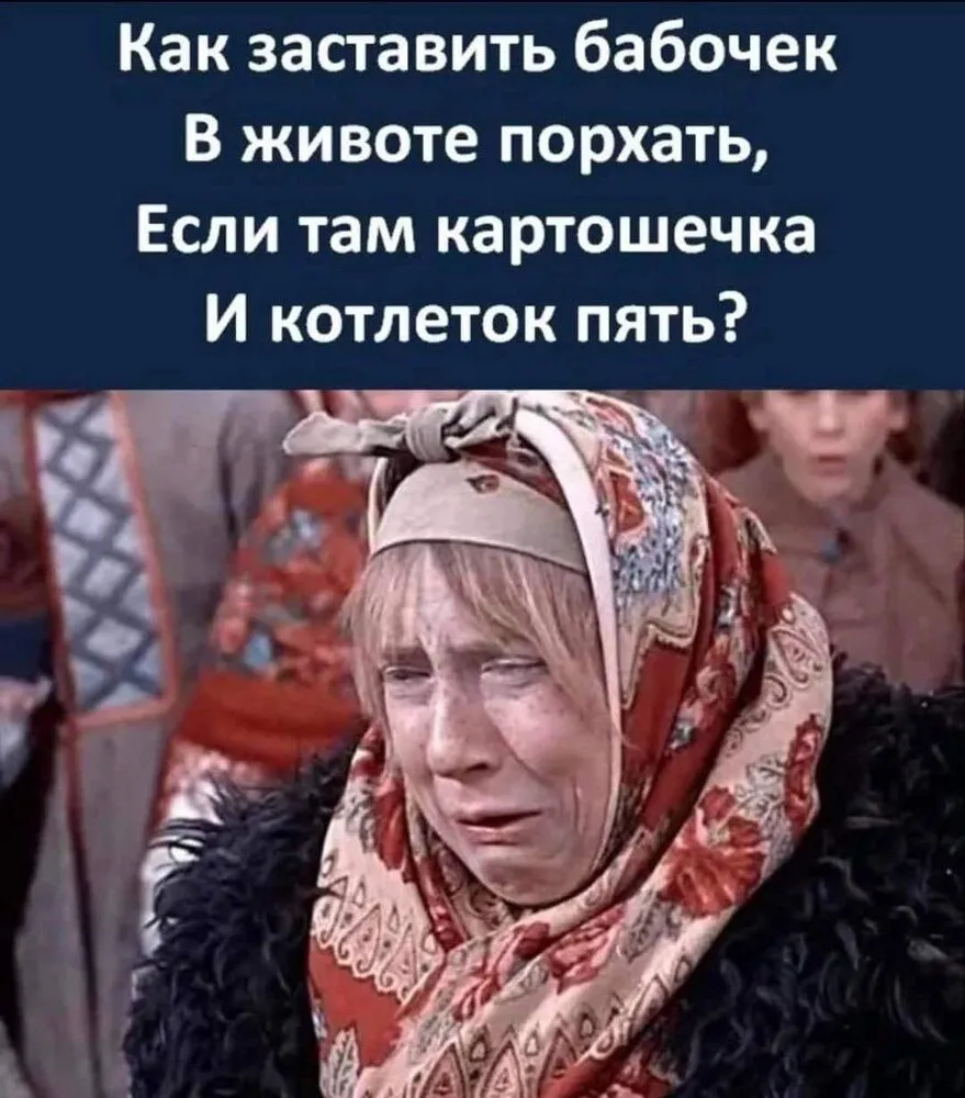 FB_IMG_1637829892347.webp