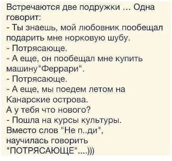 FB_IMG_1637847355431.webp