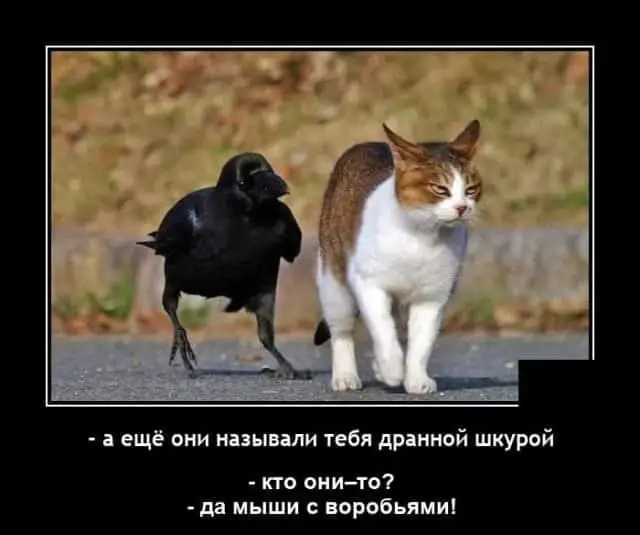 FB_IMG_1637858491986.webp