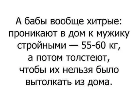 FB_IMG_1637862918243.webp