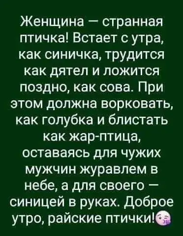 FB_IMG_1637879787581.webp