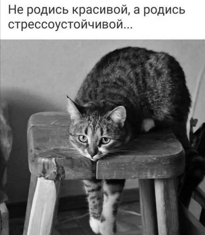 FB_IMG_1637883799367.webp