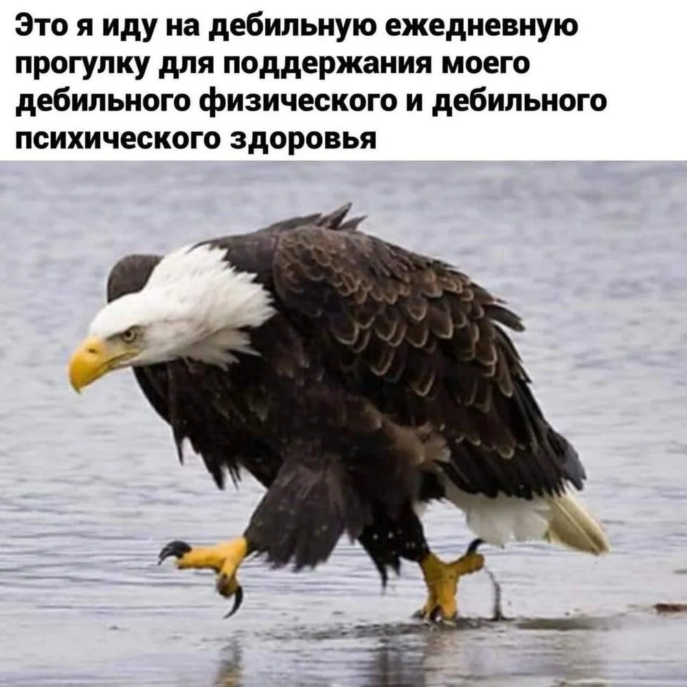 FB_IMG_1637913382316.webp