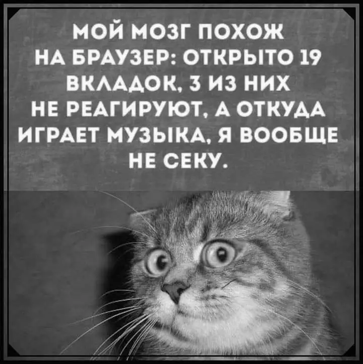 FB_IMG_1637932190736.webp