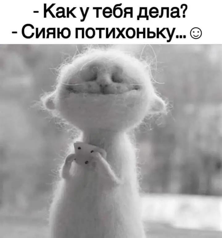 FB_IMG_1637936474627.webp