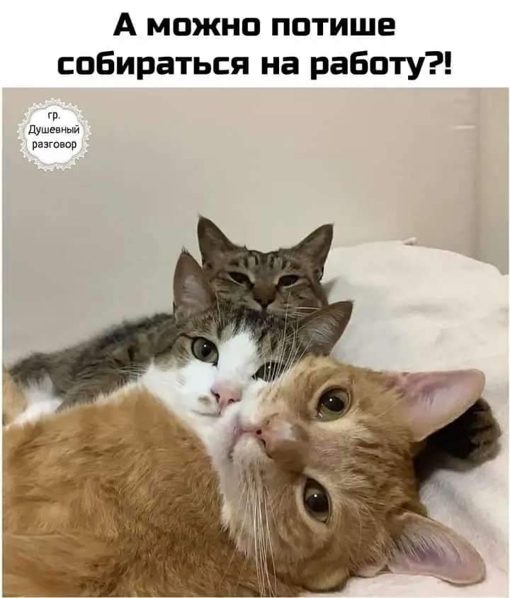 FB_IMG_1637948472931.webp