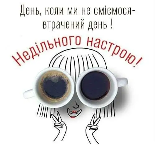 FB_IMG_1637960671029.webp