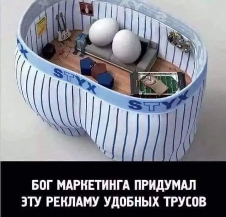 FB_IMG_1638019605562.webp