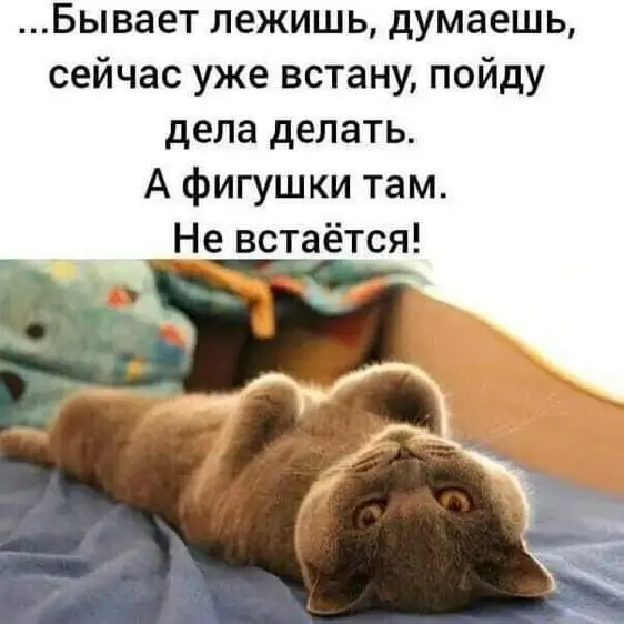 FB_IMG_1638033697333.webp