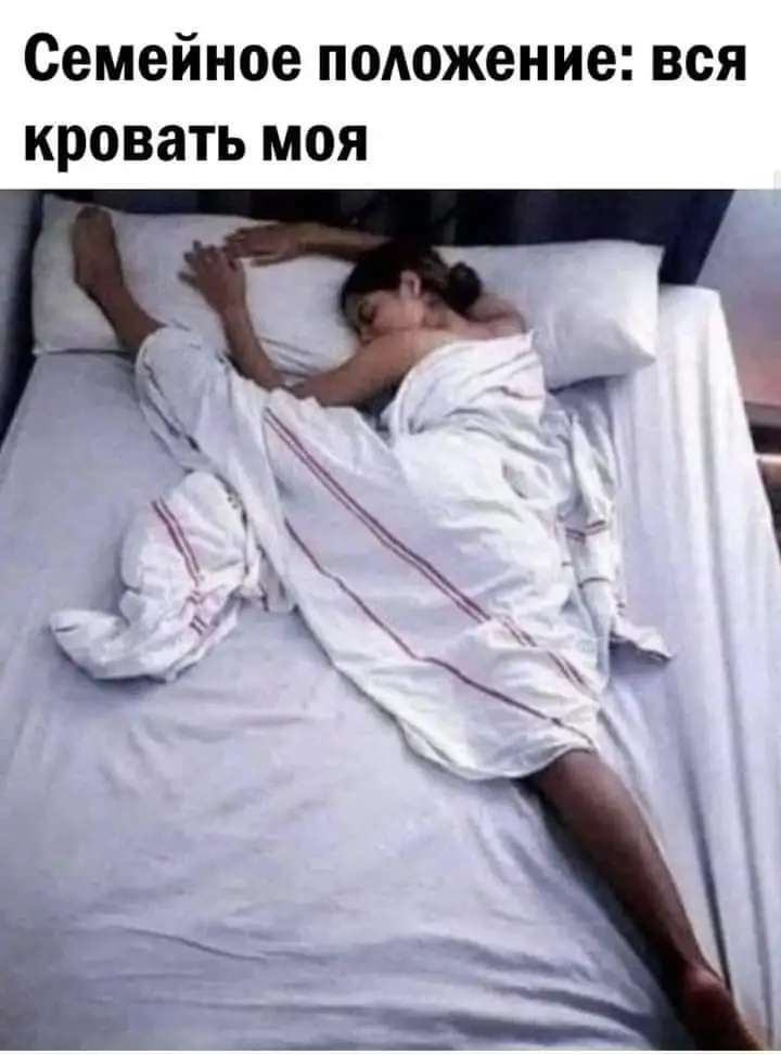 FB_IMG_1638043041905.webp