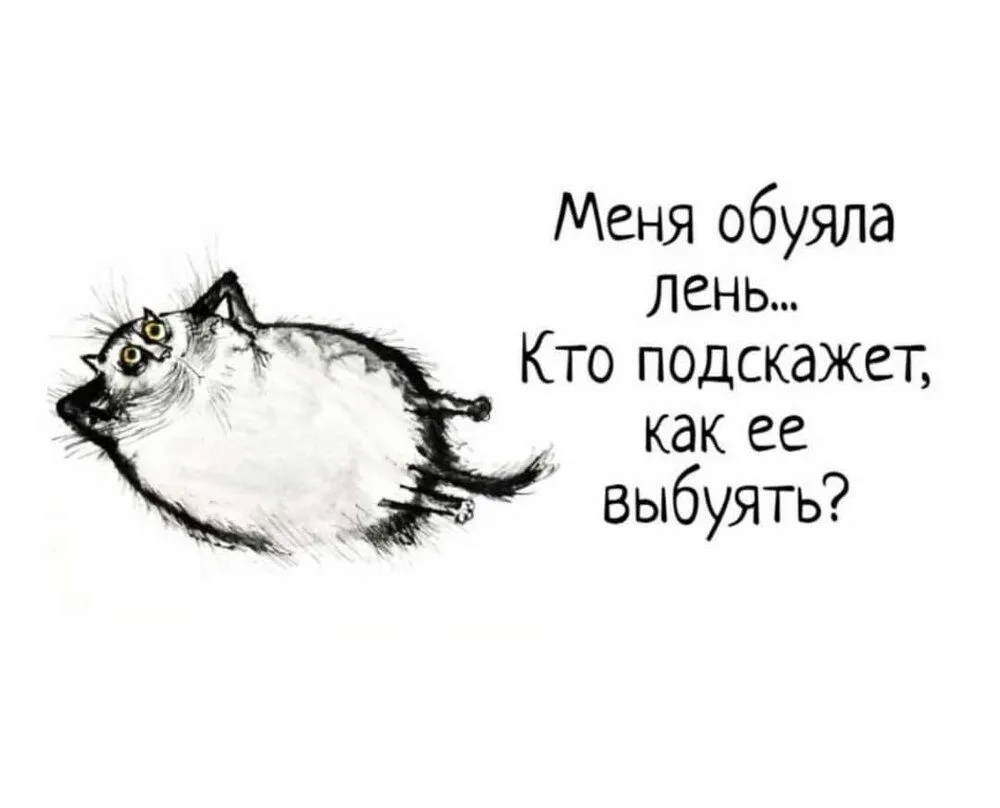 FB_IMG_1638088117774.webp