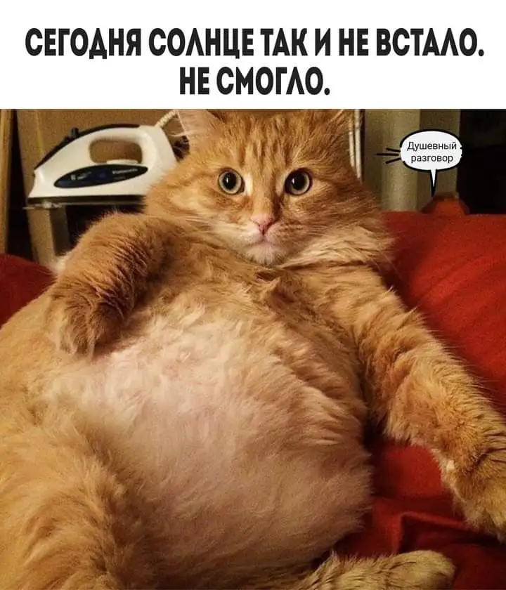 FB_IMG_1638088900098.webp