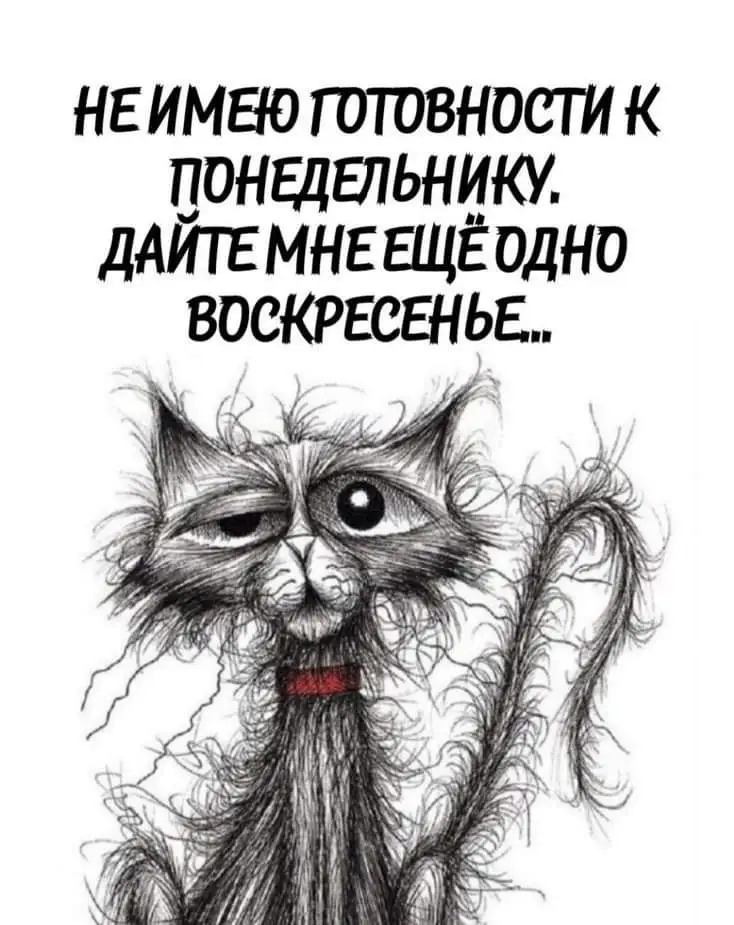 FB_IMG_1638171189795.webp