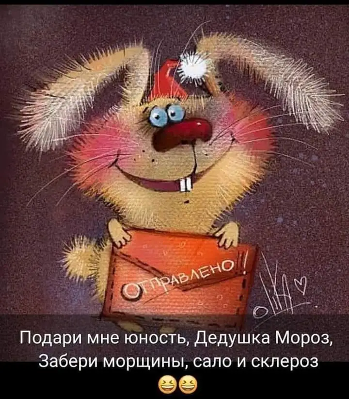 FB_IMG_1638194994539.webp