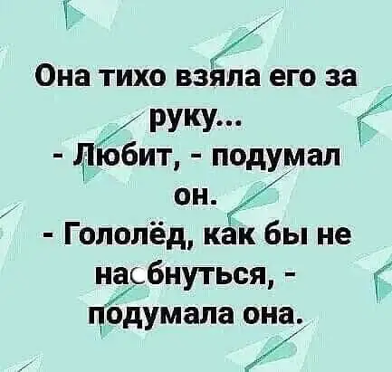 FB_IMG_1638274087509.webp
