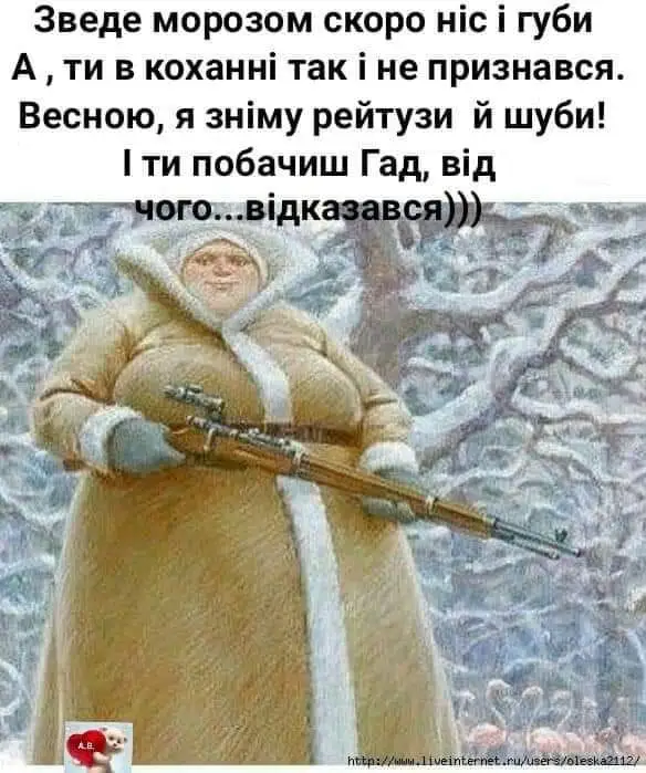 FB_IMG_1638299115756.webp