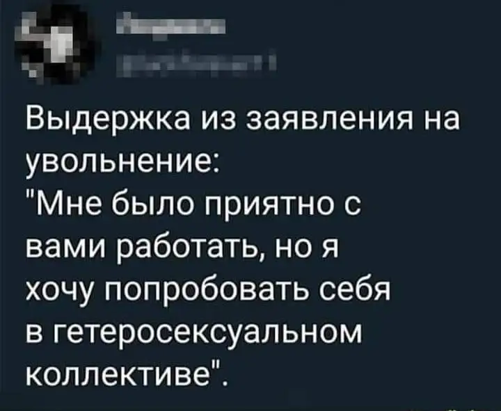 FB_IMG_1638357639932.webp