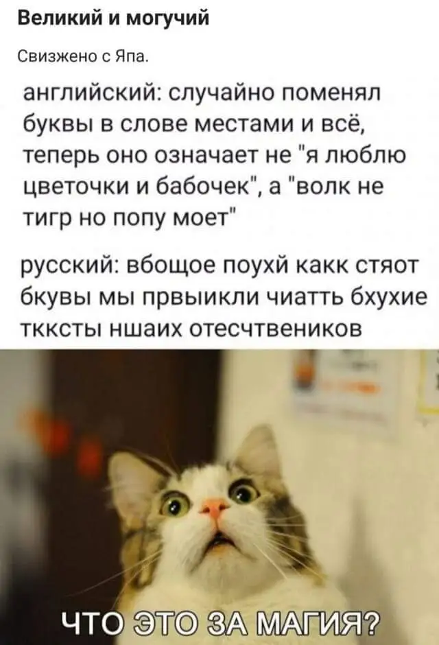 FB_IMG_1638484109198.webp