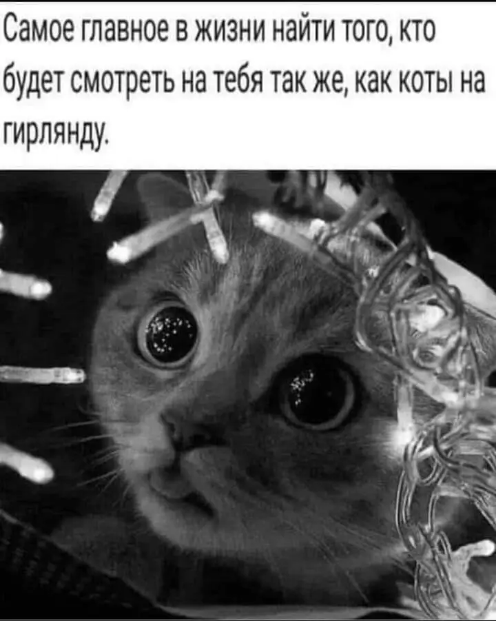 FB_IMG_1638508898999.webp