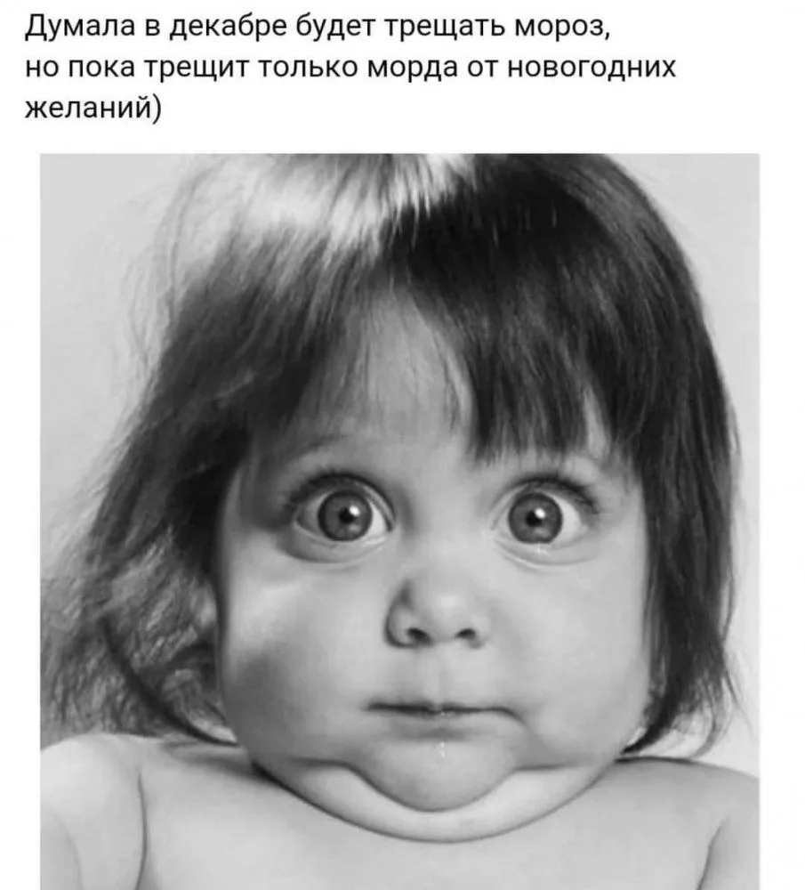 FB_IMG_1638518614282.webp