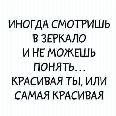 FB_IMG_1638545045644.webp