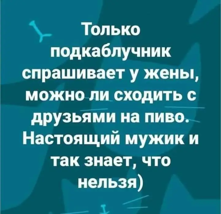 FB_IMG_1638545060202.webp