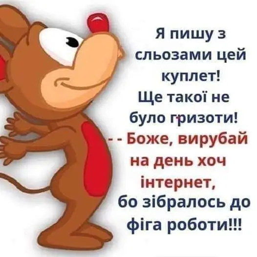 FB_IMG_1638561048248.webp