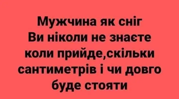 FB_IMG_1638568017513.webp