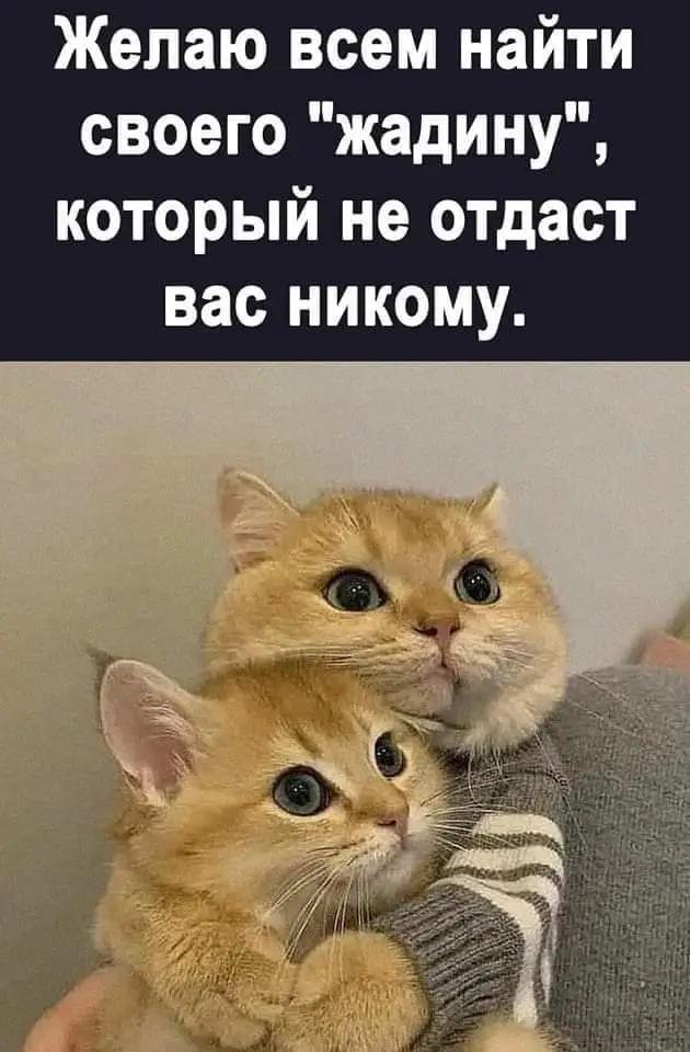 FB_IMG_1638644630815.webp