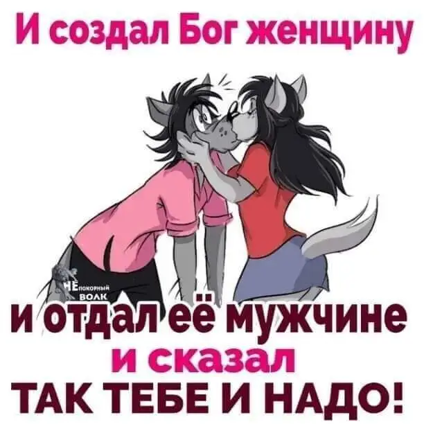 FB_IMG_1638740840705.webp