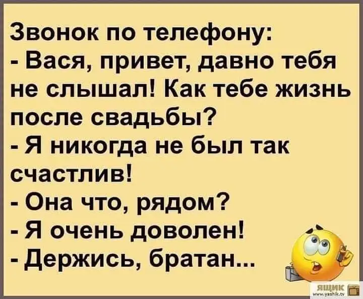 FB_IMG_1638822549688.webp