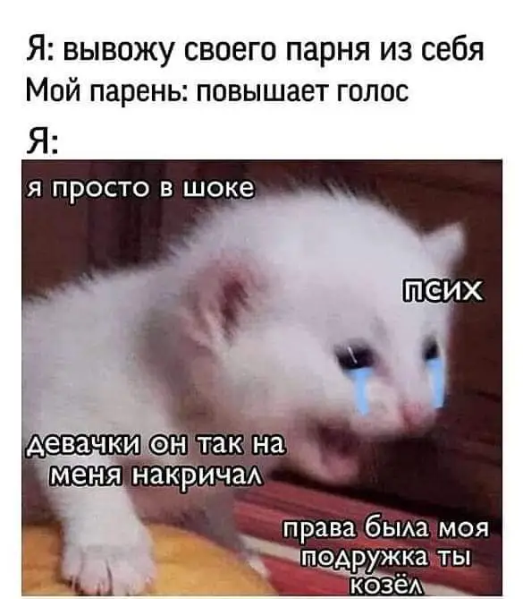 FB_IMG_1638824142853.webp