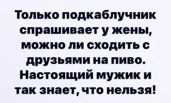 FB_IMG_1638874454549.webp