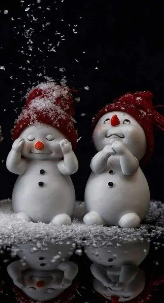FB_IMG_1638940970008.webp
