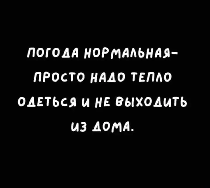 FB_IMG_1638955761947.webp