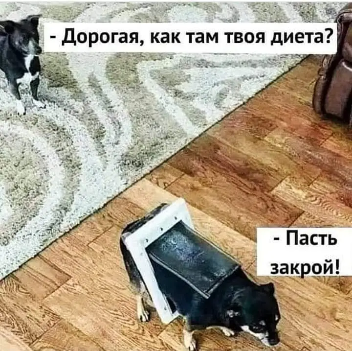 FB_IMG_1638998246969.webp