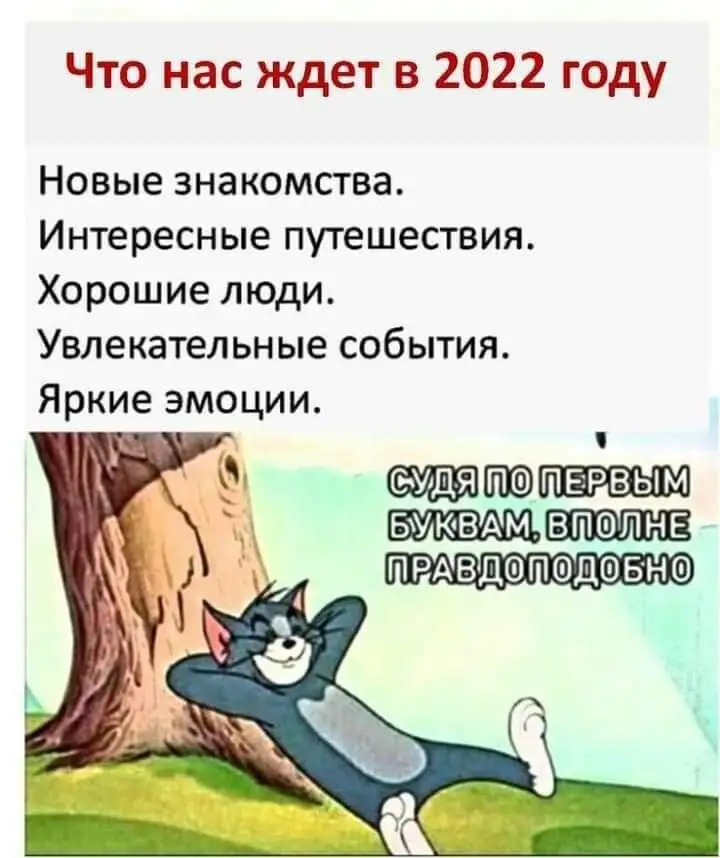 FB_IMG_1639050916346.webp