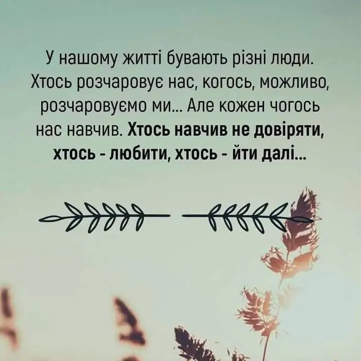 FB_IMG_1639085960585.webp