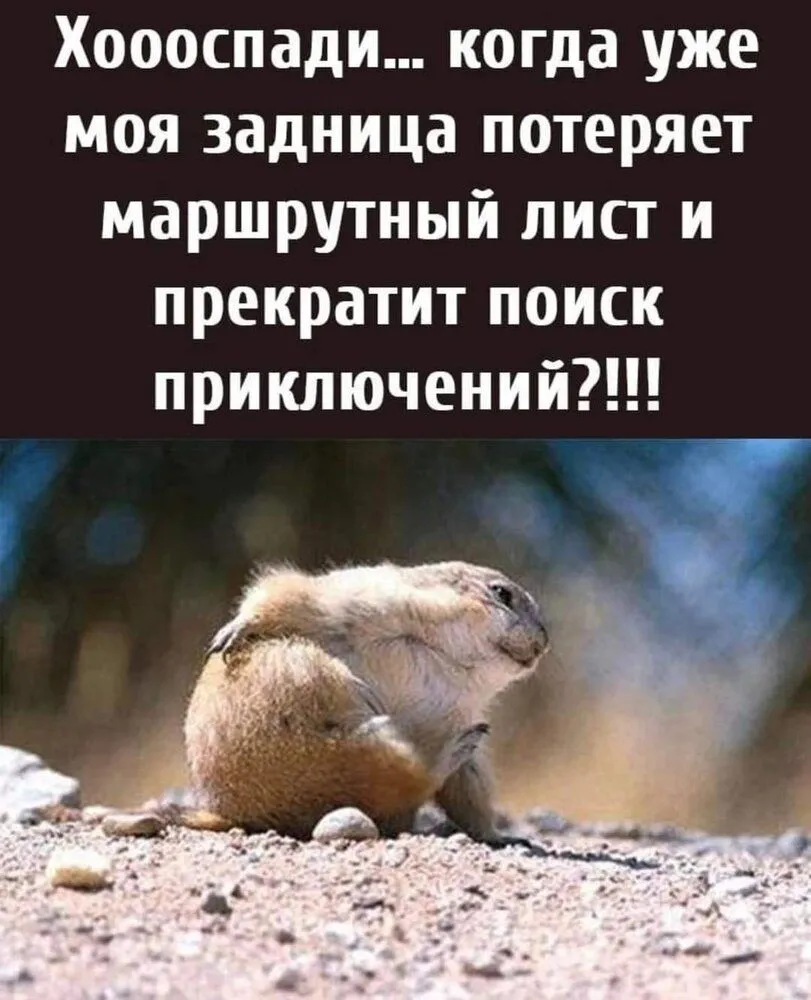 FB_IMG_1639295092926.webp