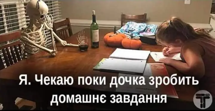 FB_IMG_1639401348528.webp