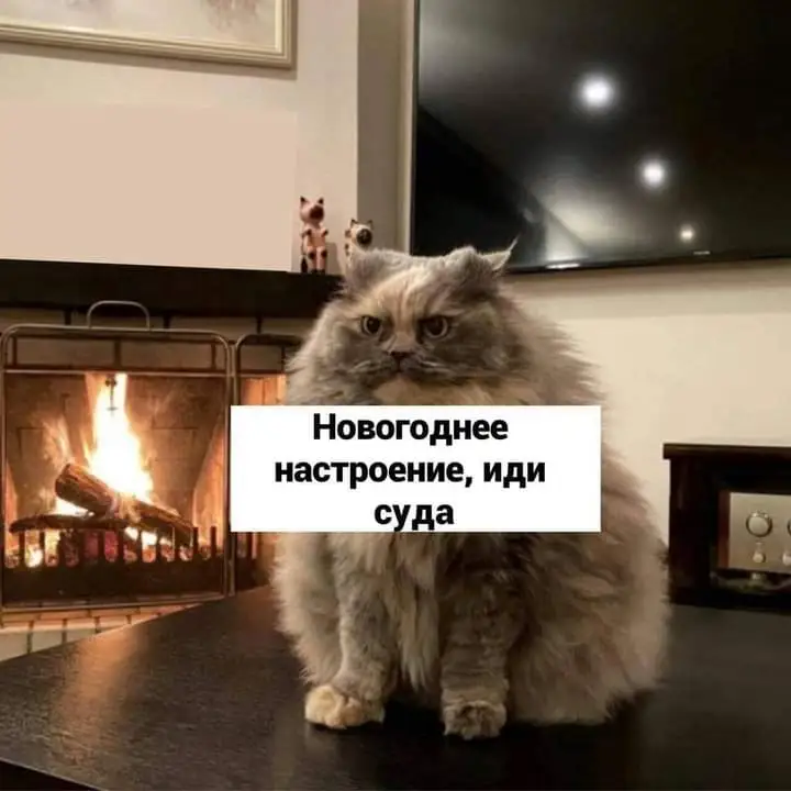 FB_IMG_1639558297476.webp