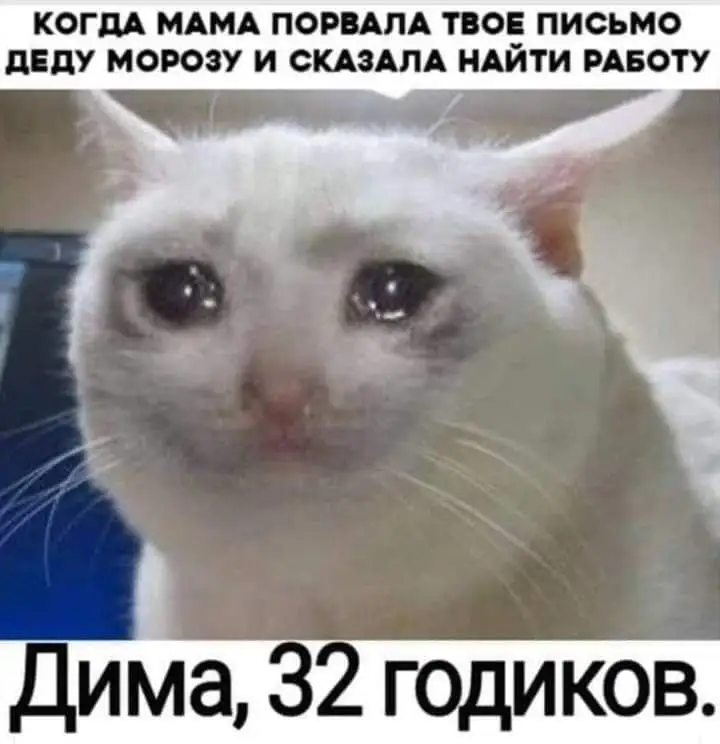 FB_IMG_1639584392066.webp