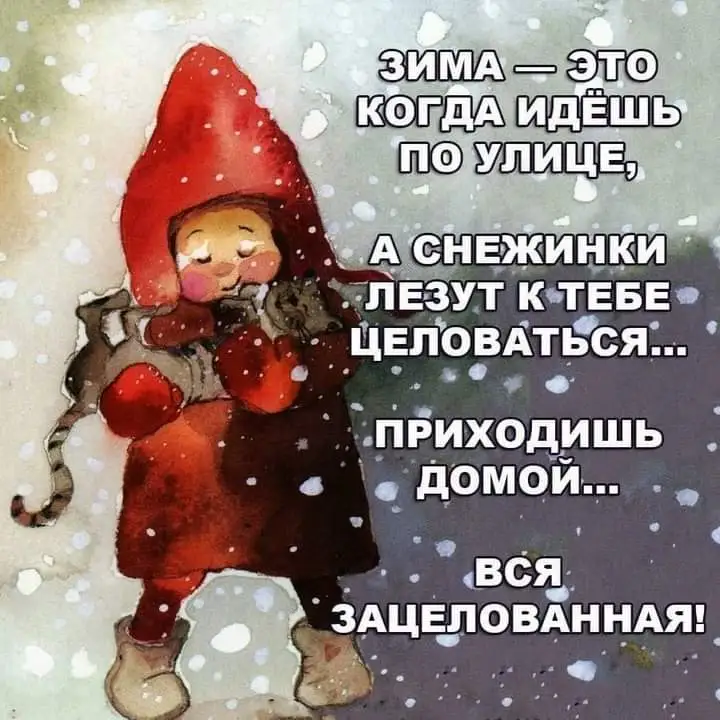 FB_IMG_1639649580983.webp