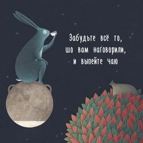 FB_IMG_1639774245794.webp