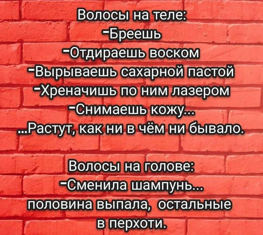 FB_IMG_1639849402406.webp
