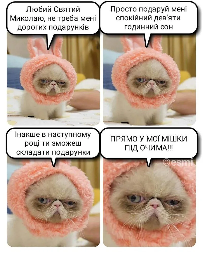 FB_IMG_1639901979738.webp
