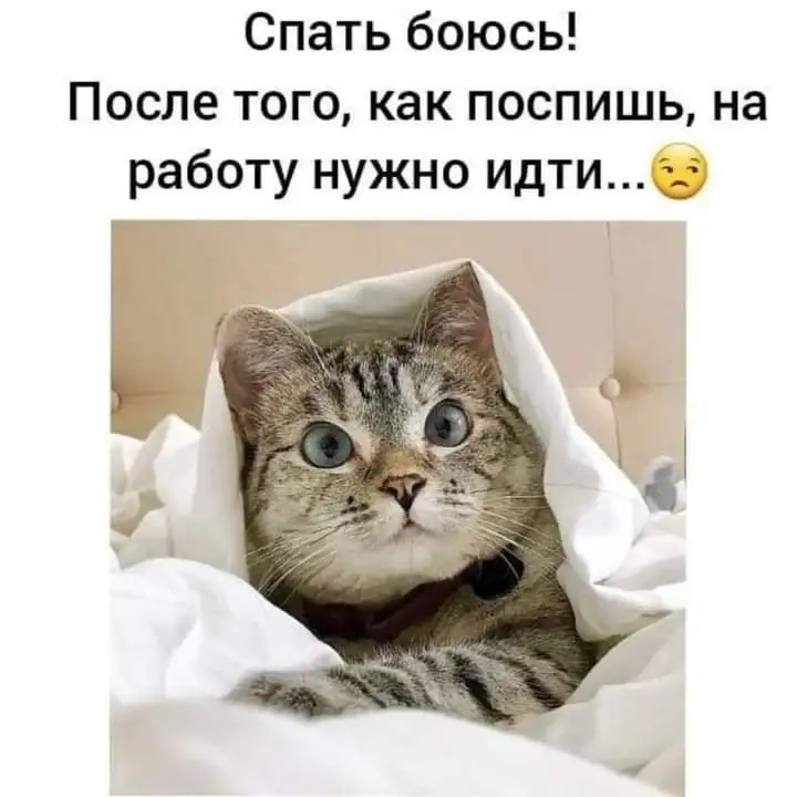 FB_IMG_1640032511305.webp