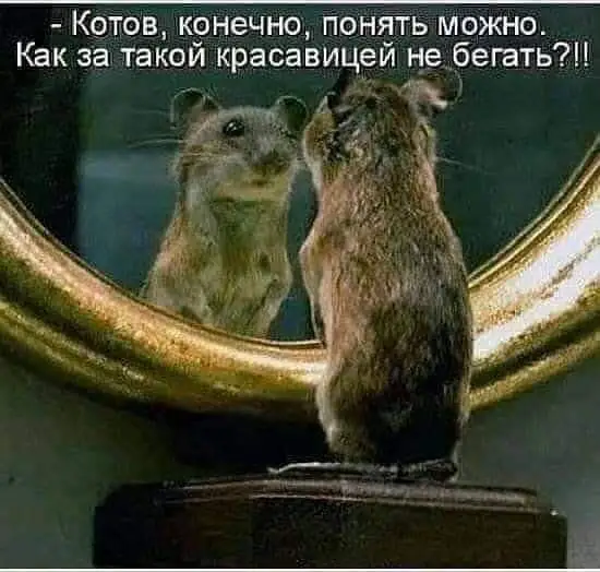 FB_IMG_1640112062285.webp