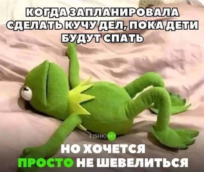 FB_IMG_1640170730571.webp
