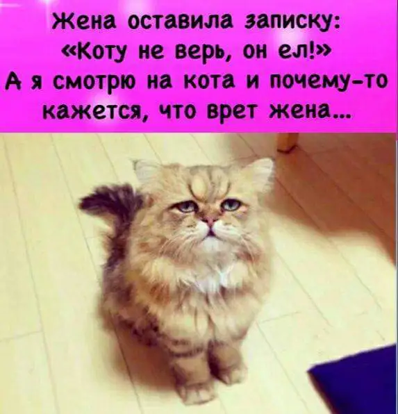 FB_IMG_1640241226257.webp